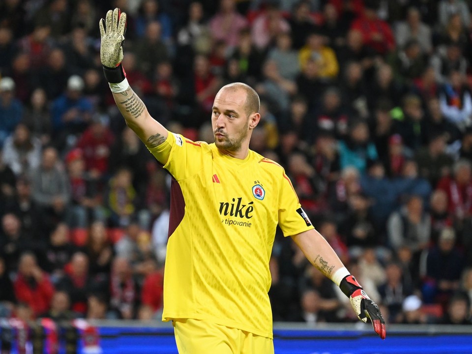 Milan Borjan.