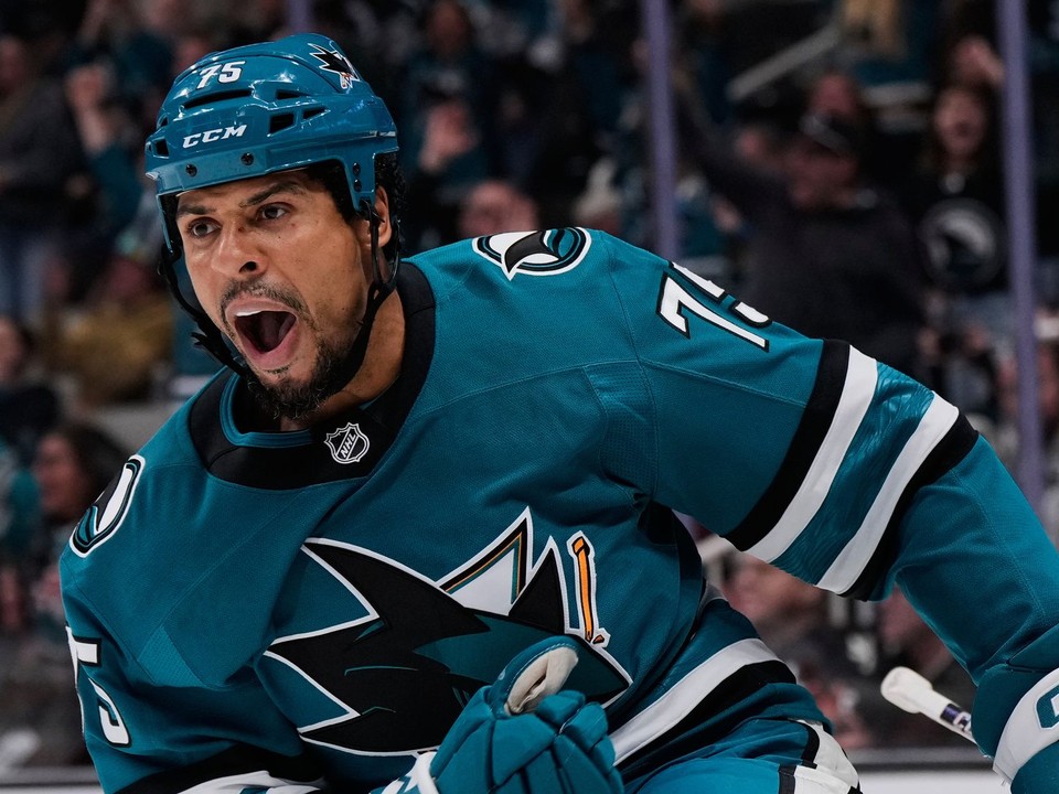 Ryan Reaves