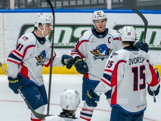 Dalibor Dvorský v drese Springfield Thunderbirds.