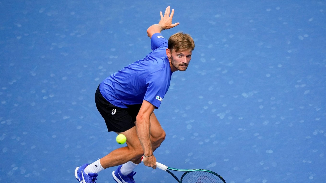 David Goffin