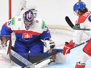 Stanislav Škorvánek  v zápase Slovensko - Česko na MS v hokeji 2023.