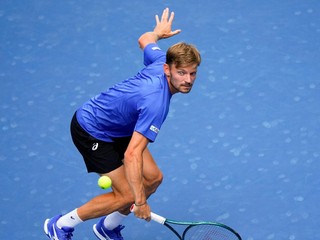 David Goffin