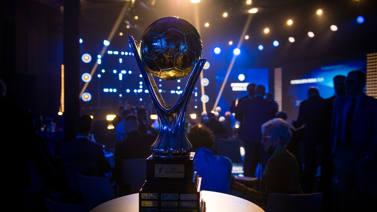Trofej pre víťaza ankety Futbalista roka.