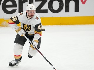 Tomáš Hertl.