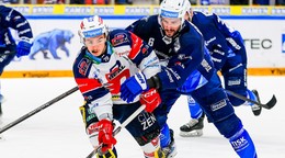 Momentka zo zápasu Pardubice - Kometa Brno