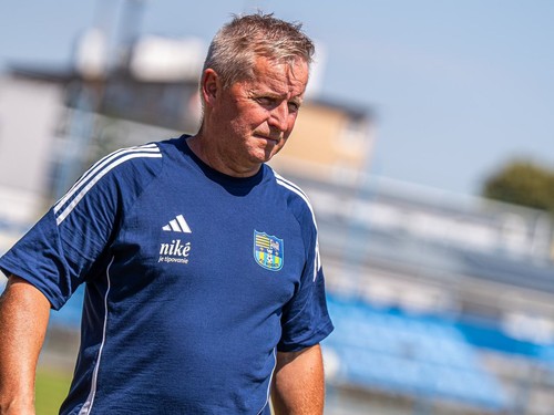 Miroslav Sovič.jpg