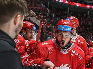 Slovenský hokejista Libor Hudáček.