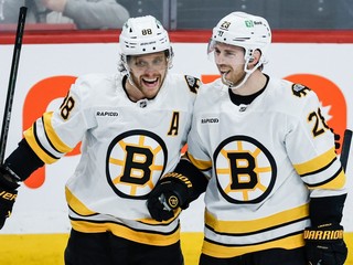 David Pastrňák a Elias Lindholm