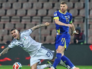 Edin Džeko v drese Bosny