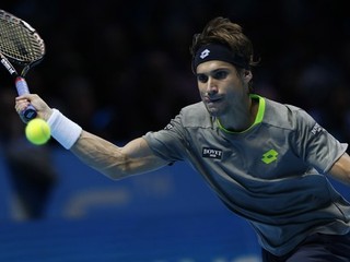 David Ferrer.