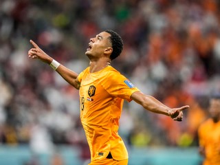 Program, výsledky a TV program záverečného turnaja Ligy národov 2022/2023. Podarí sa domácemu Holandsku získať prvenstvo?
