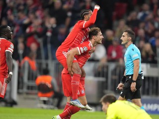 Momentka zo zápasu Bayern Mníchov - Viktoria Plzeň. V zápase chytal Slovák Marián Tvrdoň.