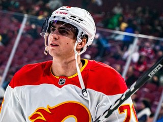 Martin Pospíšil v zápase Montreal - Calgary