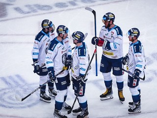 Hokejisti Bílí Tygři Liberec.