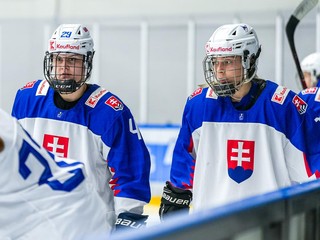 Program, výsledky a tabuľka - Slovensko na ženskom turnaji Nemecký pohár 2024.