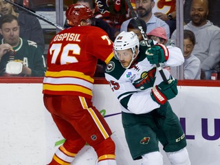 Martin Pospíšil a Jonas Brodin