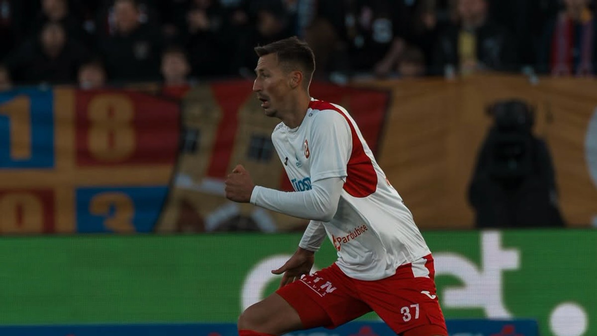 Dávid Krčík
