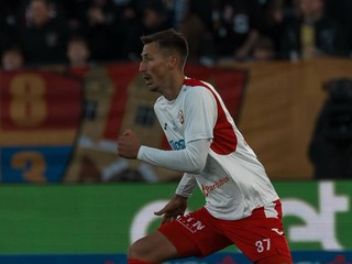 Dávid Krčík