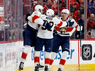 Florida Panthers oslavuje gól. 