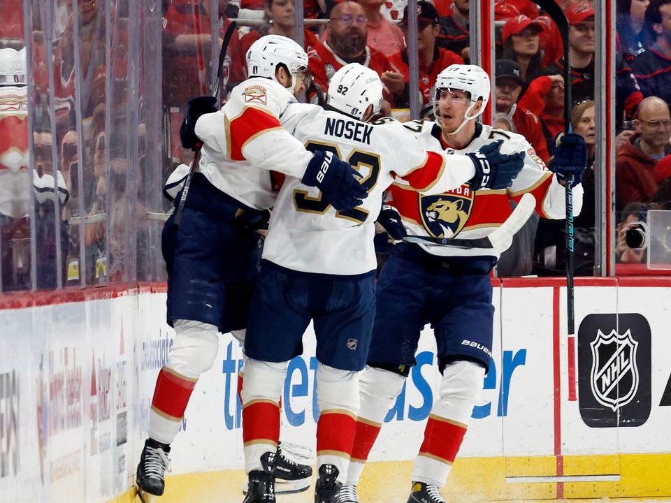 Florida Panthers oslavuje gól. 