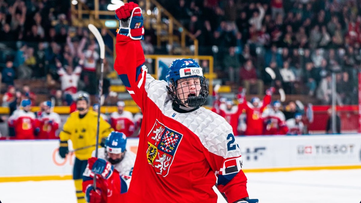 Momentka zo zápasu Česko - Švédsko.