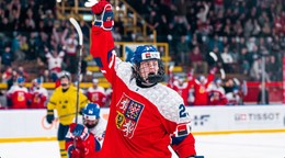 Momentka zo zápasu Česko - Švédsko.