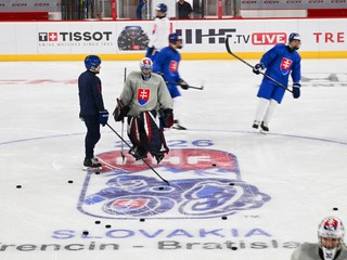 Hokejisti slovenskej hokejovej reprezentácie SR 18.