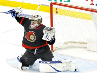 Dylan Ferguson v bránke klubu NHL Ottawa Senators.