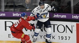 Momentka zo zápasu Fínsko - Česko