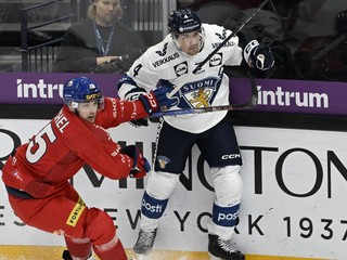 Momentka zo zápasu Fínsko - Česko