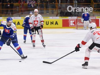 Na snímke zľava Marek Hrivík (Slovensko) a David Aebischer (Švajčiarsko) v prípravnom zápase.