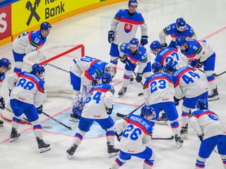 Slovenskí hokejisti