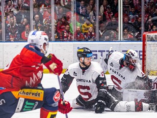 Momentka zo zápasu Pardubice - Sparta