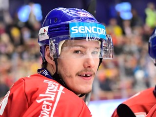 Český hokejista Dmitrij Jaškin.