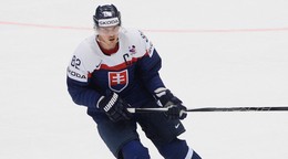 Kapitán slovenského tímu Tomáš Kopecký počas MS v hokeji 2015.

