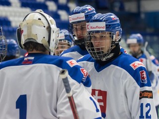 Slovenskí hokejisti do 17 rokov.