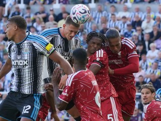 Virgil van Dijk (vpravo) v drese Liverpoolu proti Newcastlu.