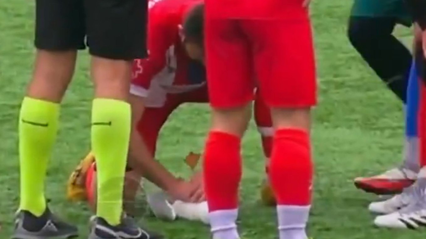 Catan poskytol núdzovú resuscitáciu zranenej čajke.