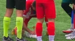 Catan poskytol núdzovú resuscitáciu zranenej čajke.