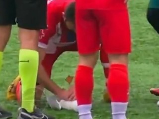 Catan poskytol núdzovú resuscitáciu zranenej čajke.