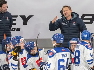 Hore sprava tréner hokejistov Slovenska Vladimír Országh a jeho asistent Ivan Majeský