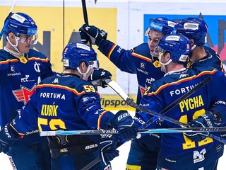 Hokejisti Banes Motor České Budějovice.