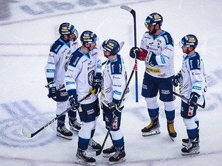 Hokejisti Bílí Tygři Liberec.