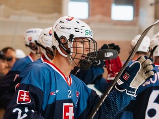Slovenskí reprezentanti na ME v inline hokeji.