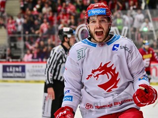 Slovenský hokejista Marko Daňo.