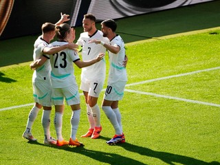 Futbalisti Rakúska sa tešia z gólu do siete Holandska. 