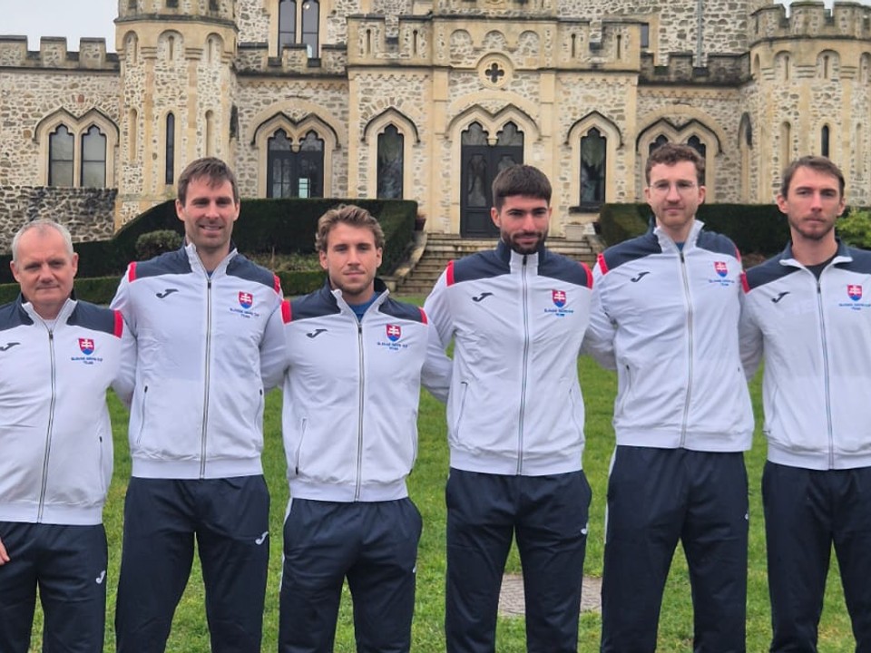 Slovenský daviscupový tím