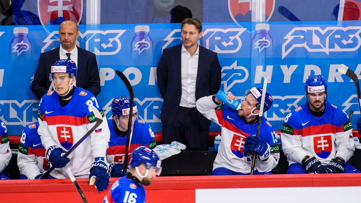 Slovenská hokejová reprezentácia.