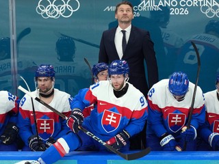 Slovenskí hokejisti. 