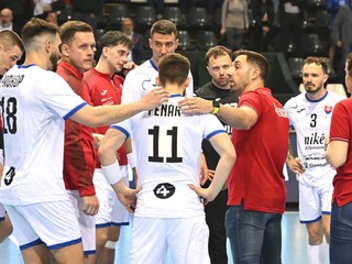 Slovenskí hádzanári